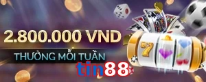 tin88