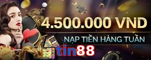 tin88