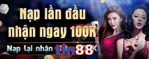 tin88