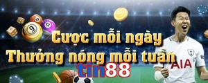 tin88